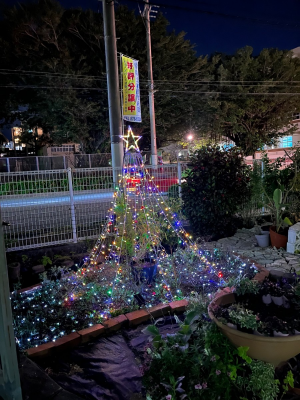 カトリック沖縄学園のクリスマスの写真