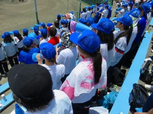 高校硬式野球部が、全国高等学校野球選手権沖縄大会に初出場しました。の写真